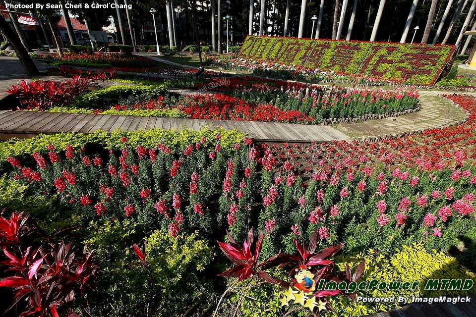 [府城生態]2010府城賞花季活動(2010.03.06~03)